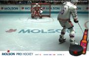 職業冰球手-职业冰球手-遊戲用滑鼠鍵移動，點擊瞄準球門出擊。